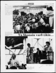 Síða 4