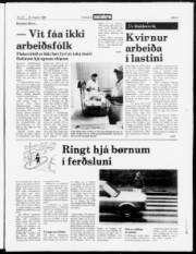Síða 3