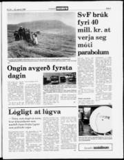 Síða 5