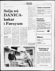 Síða 8
