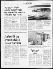 Síða 2