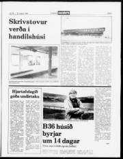 Síða 3