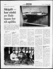 Síða 4