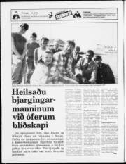 Síða 16