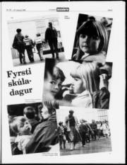 Síða 5