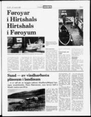 Síða 3