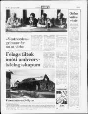 Síða 5