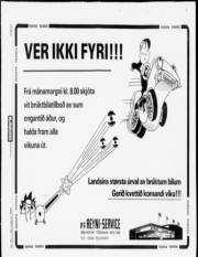 Síða 21
