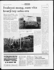 Síða 3