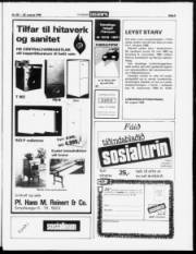Síða 5