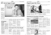 Síða 6