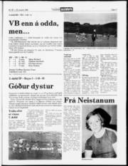 Síða 17