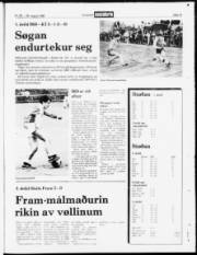 Síða 19
