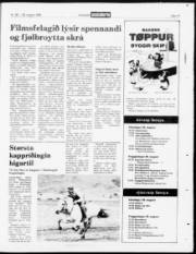Síða 15