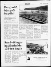 Síða 4