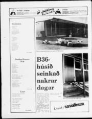 Síða 20