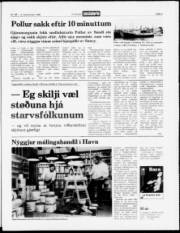 Síða 3
