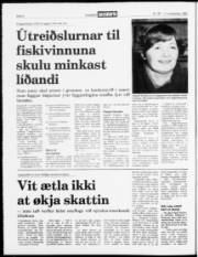 Síða 4