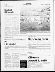 Síða 12