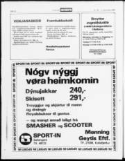 Síða 14