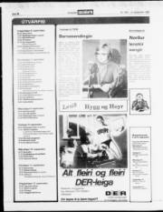 Síða 12