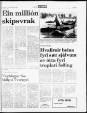 Síða 15