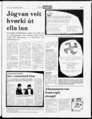 Síða 3