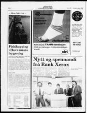 Síða 4