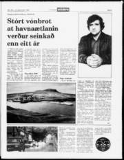 Síða 5