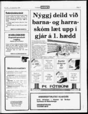 Síða 17