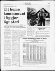 Síða 5