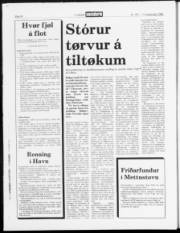 Síða 14
