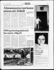 Síða 3