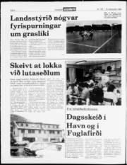 Síða 4