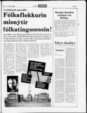 Síða 17