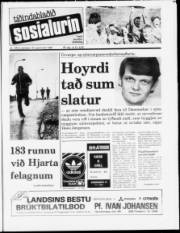 Síða 1