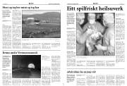 Síða 4