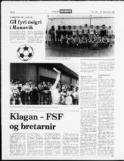 Síða 8