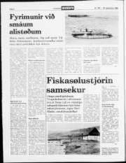 Síða 2