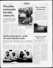 Síða 3