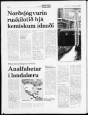 Síða 14