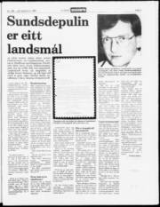 Síða 3