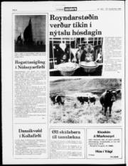 Síða 4