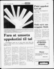 Síða 3