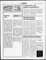 Síða 6