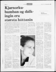 Síða 13