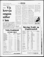 Síða 16