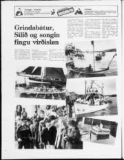 Síða 19