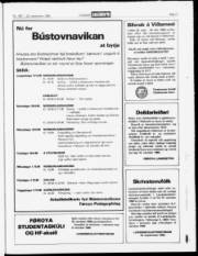 Síða 17