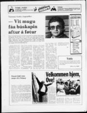 Síða 20